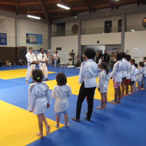 idf-habitat-atelier-judo-clarisse-agbegnenou